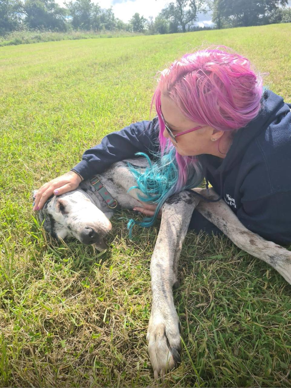 Viviana in a moment of quiet presence — grief support for animal loss