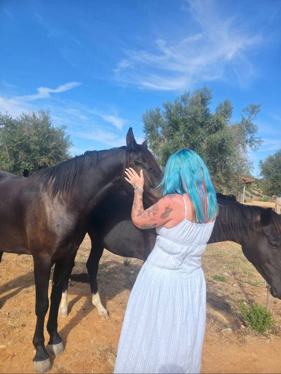 Viviana with horses